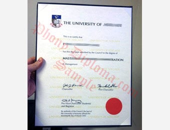 University of Adelaide - Fake Diploma Sample from Australia